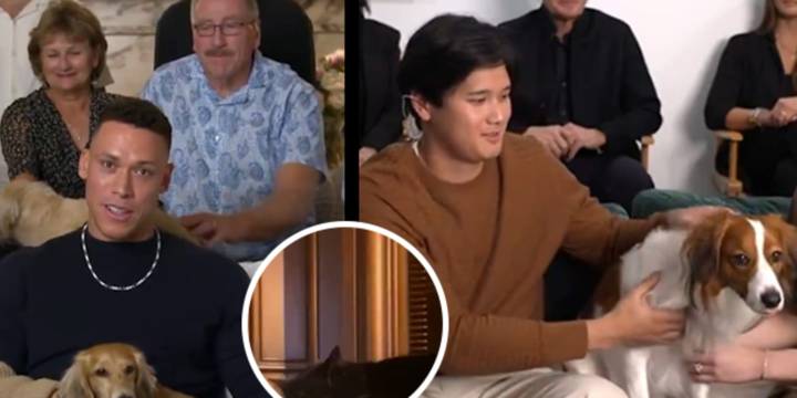 Shohei Ohtani's dog Decoy, Aaron Judge's dogs stars of MVP reveal