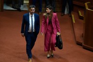La pareja fiscalizadora que se afianza en el Congreso: Daniela Cicardini y Daniel Manouchehri ganan sus respectivas elecciones