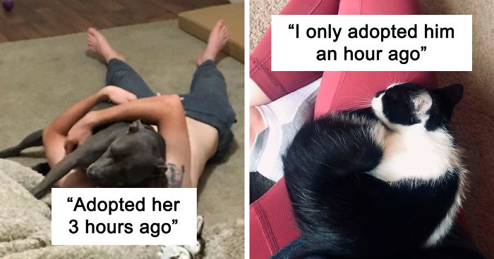 39 Most Wholesome Rescue Pet Photos Of This Month (New Edition)