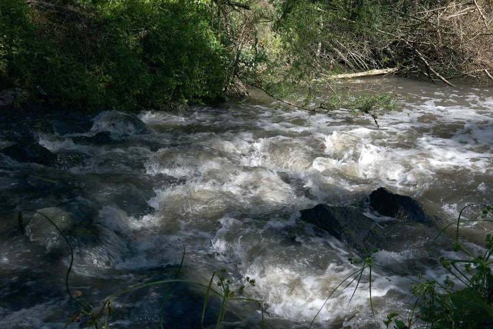 Woman and Child Drown in Creek After Getting into ‘Difficulty’ in Water