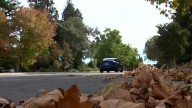 ‘The Claw’ is back in Sacramento as leaf season, stormy weather arrives