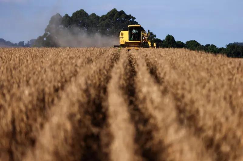 El precio de la soja alcanzó su nivel más alto en 15 meses tras el acuerdo comercial entre EE. UU. y China