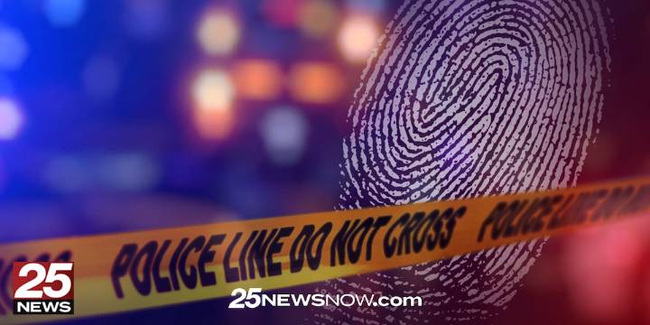 Henry Police investigate after numerous vehicle burglaries