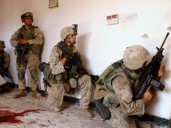 The Last 600 Meters: The Battles of Najaf and Fallujah