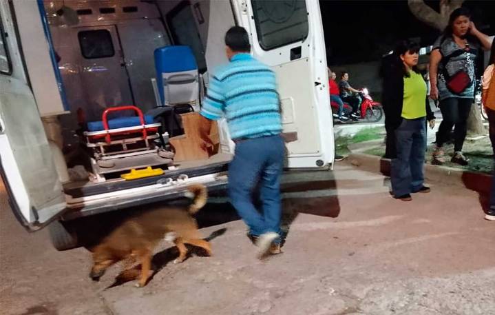 Madre e hija lesionadas tras insólito accidente con su moto