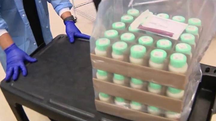 Mother’s Milk Bank of Florida helping state’s most fragile newborns