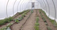 West Virginia growers extend harvests with high tunnels: planning and funding are key