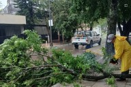 Tormenta con granizo en Corrientes Capital causó anegamiento en las calles y caída de árboles