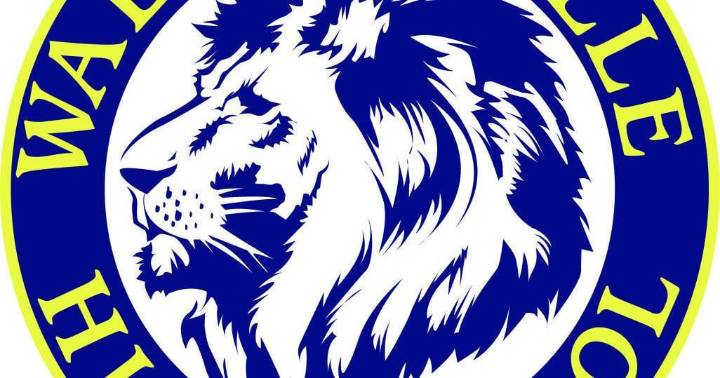 Birth's versatile playmaking helps Lions earn berth in 2A/1A state quarterfinals with rout of Cavs