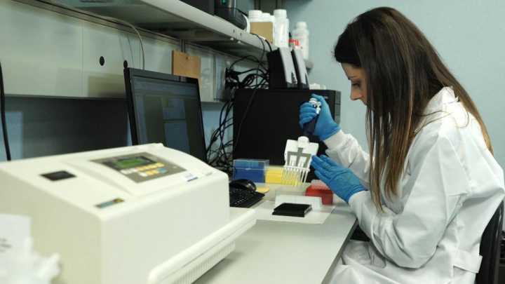 Un estudio español abre la puerta a frenar el envejecimiento de la sangre: así actúa el nuevo fármaco experimental