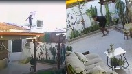 Videos: conocido delincuente en el barrio Autonomía irrumpió en dos casas y robó diversos elementos