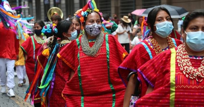 PVEM impulsa reforma para que pueblos indígenas accedan a créditos de carbono