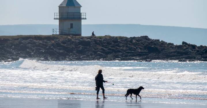 Part of Wales declaring war on dog owners with new rules on picking up mess and keeping pets on leads