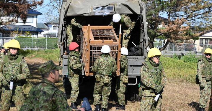 Japan deploys the military to counter a surge in bear attacks