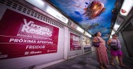 El Rincón Gastronómico del Mercado del Rosario de Cádiz se inaugurará el próximo martes