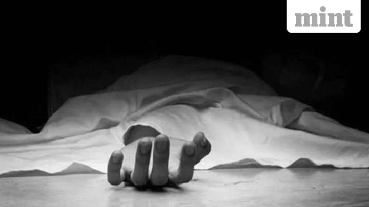 Delhi schoolboy jumps off Metro station, blames teachers in suicide note