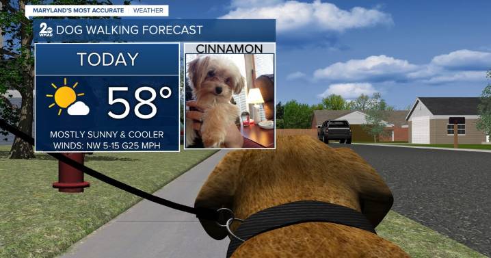 Cooler temps paired with sunny skies!