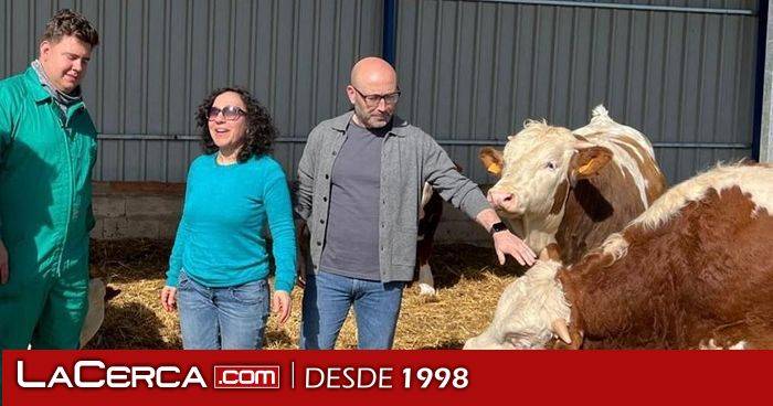 La Junta finaliza este viernes el pago del anticipo de la PAC 2025 con el ingreso de casi 3,9 millones de euros en las cuentas de más de 600 ganaderos albaceteños de ovino, caprino y vacuno