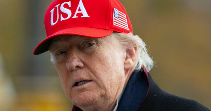 Donald Trump fans' X accounts exposed as coming from Eastern Europe