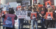 Florida bear hunt opponents rally outside capitol in Tallahassee: "The science is not there"