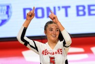 Volleyball: Elayna Davidson gets Marist past Fremd at state