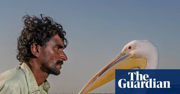 The bird people of Lake Manchar: surviving in a vanishing oasis