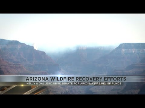 Arizona senators push for wildfire recovery funds for federal lands