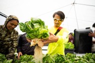 Hawaii Community College sees nearly 9% spike in enrollment