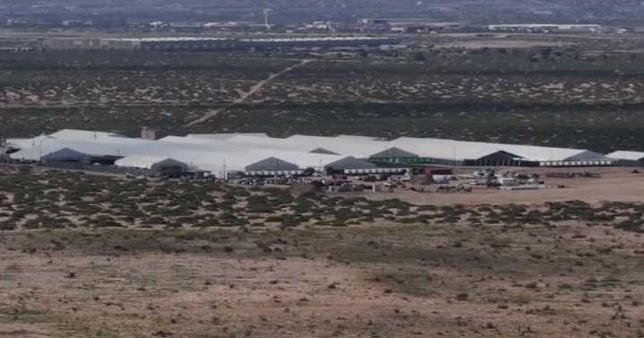 As ICE puts immigrants in 'Lone Star Lockup,' companies quietly cash in