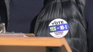 Advocates urge action after voters approve 10-1 voting system in Virginia Beach