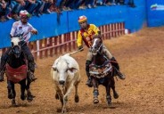 Mario Sánchez Pinto: De manga en manga