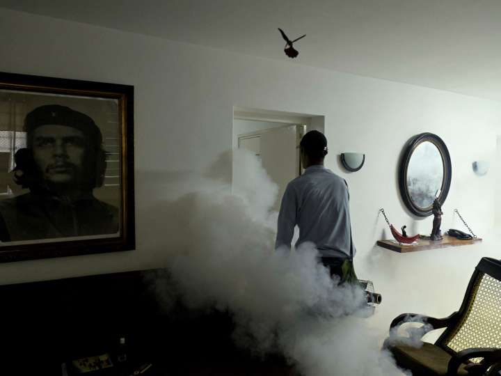 Cuban authorities battle wave of mosquito