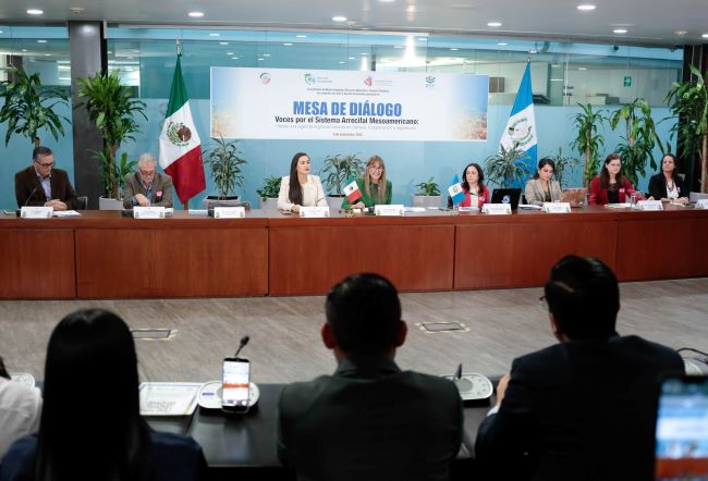 Llaman a elevar protección de arrecifes de coral ante riesgo de desaparición