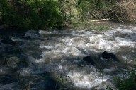 Woman and Child Drown in Creek After Getting into ‘Difficulty’ in Water