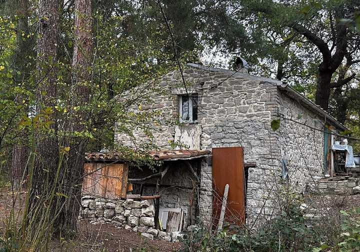 La decisión del Tribunal de Menores de retirar los hijos a una familia que vivía aislada en un bosque divide a Italia