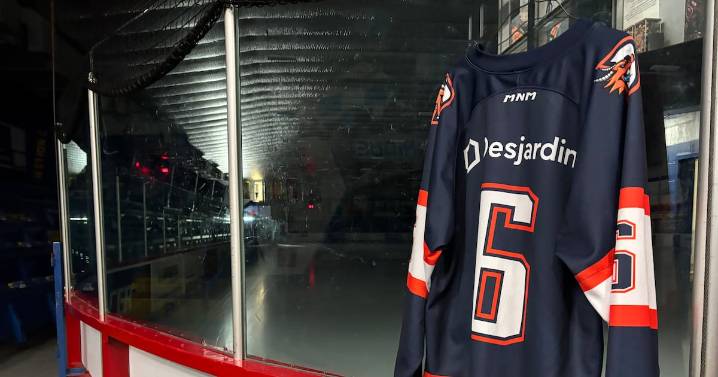 Quebec town mourns brothers killed in REM train collision