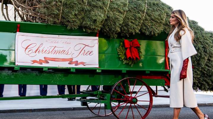 Melania Trump welcomes Christmas tree to the White House