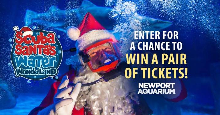 Newport Aquarium's Scuba Santa Giveaway