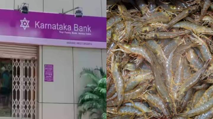 Block deals impact: Karnataka Bank shares jump 11%, Apex Frozen hits 20% upper circuit