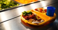 Free school meals rule change means thousands more children will get them
