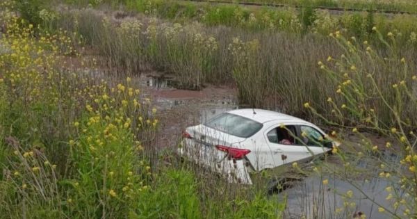 Una abeja entró al auto, el conductor perdió el control y cayó a una zanja