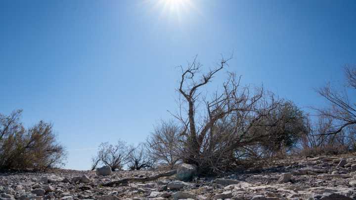 Se espera clima templado para el Día de Acción de Gracias en Phoenix