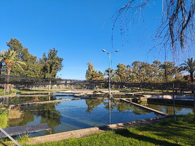 La piscifactoría de Villafranco del Guadiana celebra una jornada de puertas abiertas este domingo