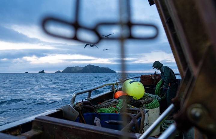 Halibut commission at crossroads as fishery hits record lows
