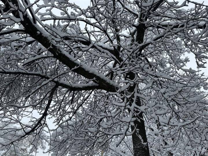 From flurries to sunshine this week in Montreal