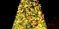 Bright Nights gets new 50-foot Christmas tree