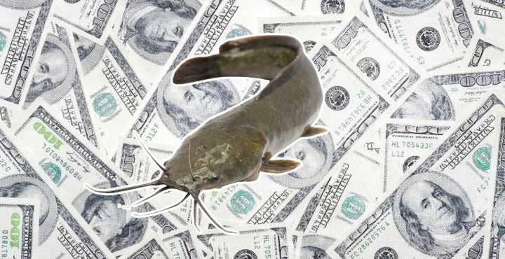 Is Your Match Financially Catfishing You? 50% of People Do It.