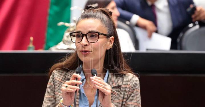 Plantean reforma para garantizar destrucci?n de armas aseguradas o decomisadas