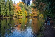 Portland voters poised to approve pricey new parks levy