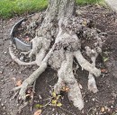 Halloween is past but creepy stuff is still around